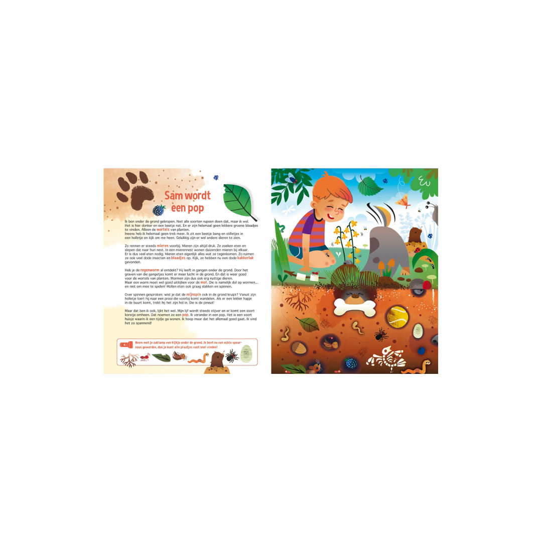 speuren naar insecten en kriebelbeestje speuren naar insecten en kriebelbeestje