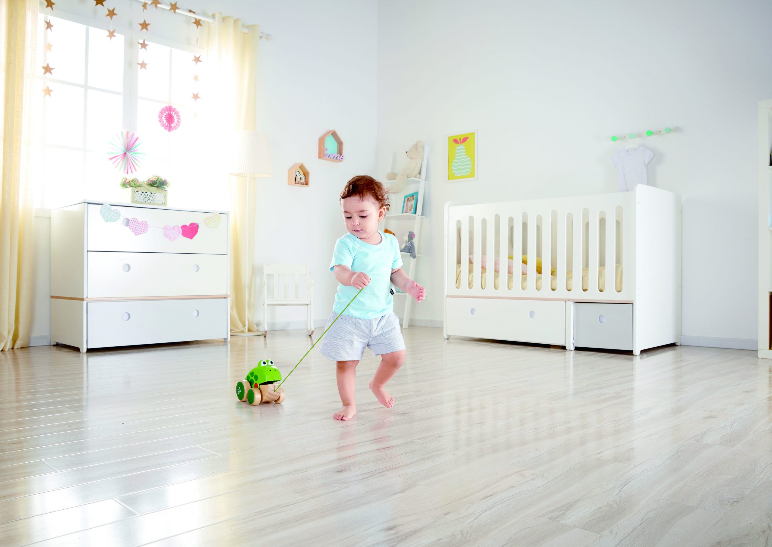 kikker trekdier kikker trekdier