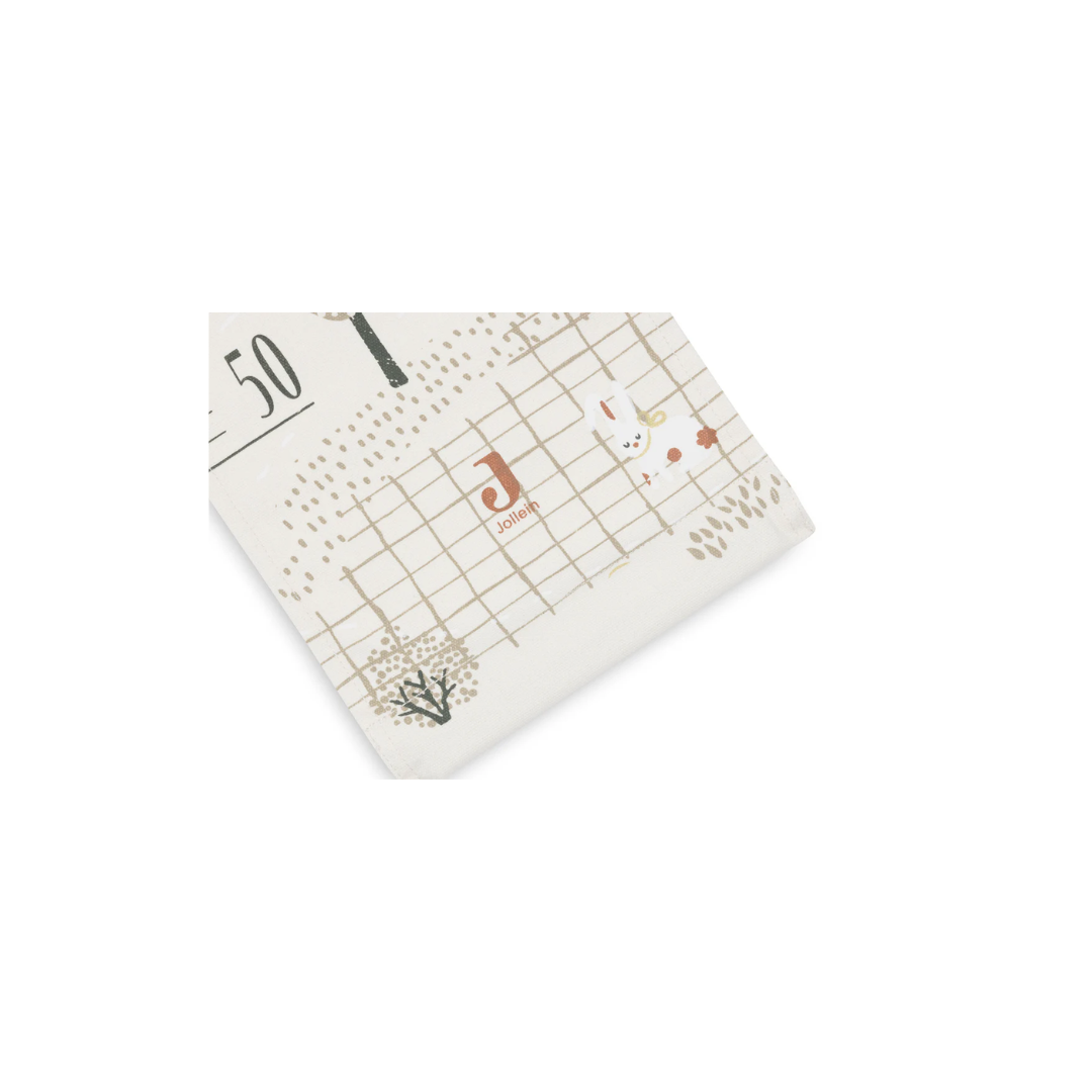 jollein bijtring bal siliconen Ø 9,5cm silicone biscuit (kopie) jollein bijtring bal siliconen Ø 9,5cm silicone biscuit (kopie)