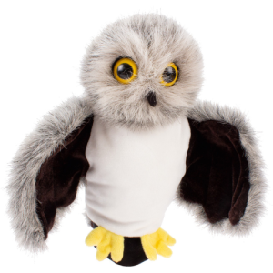 import placeholder for 9789