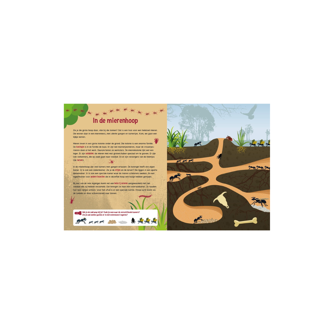 speuren onder de grond speuren onder de grond