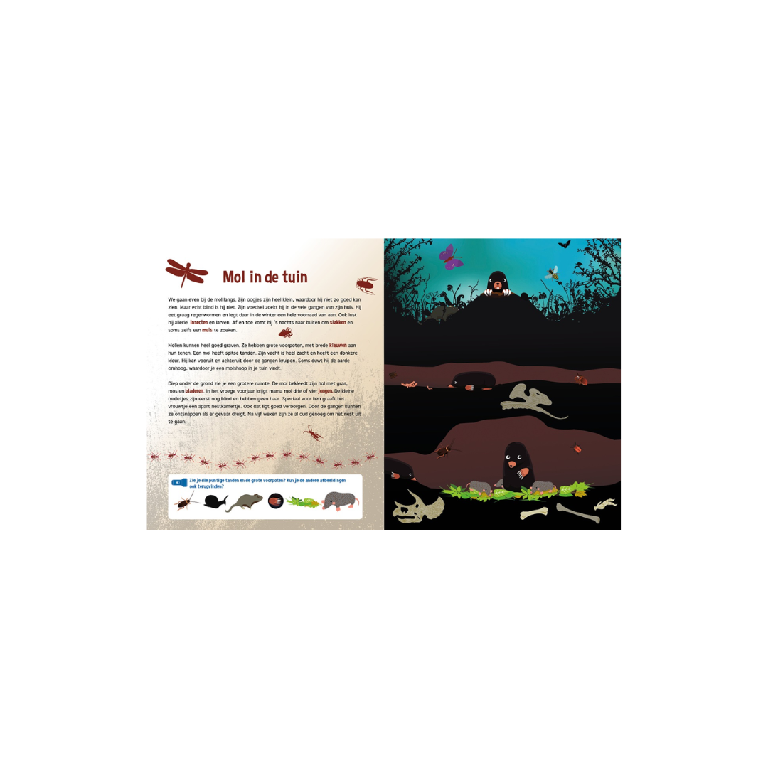 speuren onder de grond speuren onder de grond