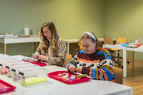 schermafbeelding 2026 01 10 120323